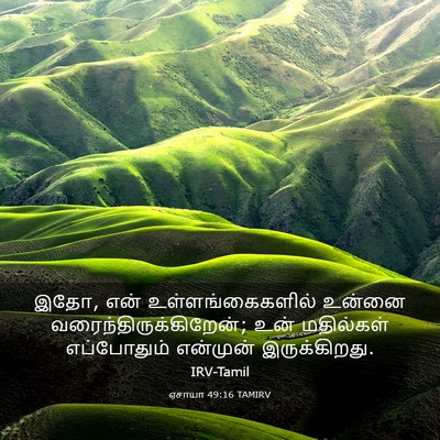 Picture 03 - ஏசாயா 49:16 TAMIRV - இதோ, என் - Bible Verse Picture