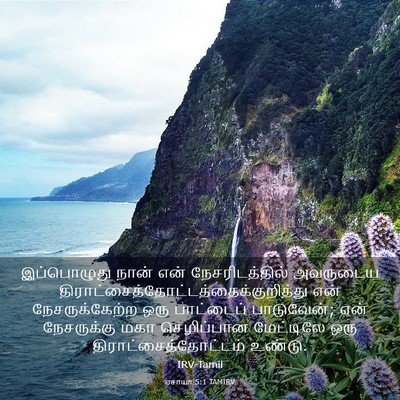 Picture 03 - ஏசாயா 5:1 TAMIRV - இப்பொழுது நான் - Bible Verse Picture