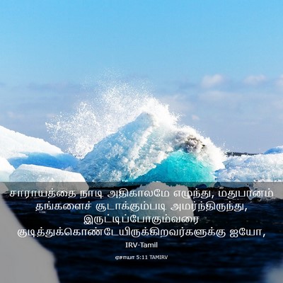 Picture 03 - ஏசாயா 5:11 TAMIRV - சாராயத்தை நாடி - Bible Verse Picture