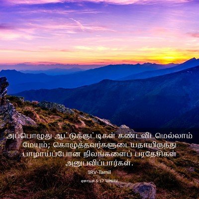 Picture 03 - ஏசாயா 5:17 TAMIRV - அப்பொழுது - Bible Verse Picture
