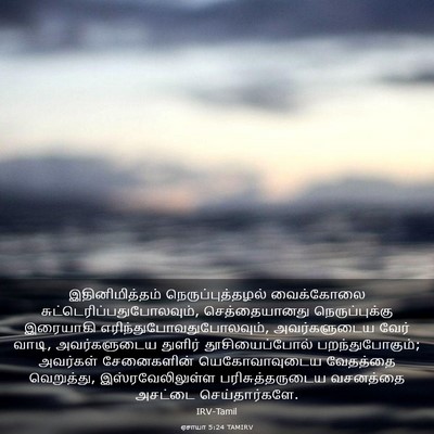 Picture 03 - ஏசாயா 5:24 TAMIRV - இதினிமித்தம் - Bible Verse Picture