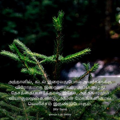 Picture 03 - ஏசாயா 5:30 TAMIRV - அந்நாளில், கடல் - Bible Verse Picture
