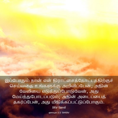 Picture 03 - ஏசாயா 5:5 TAMIRV - இப்போதும் நான் - Bible Verse Picture