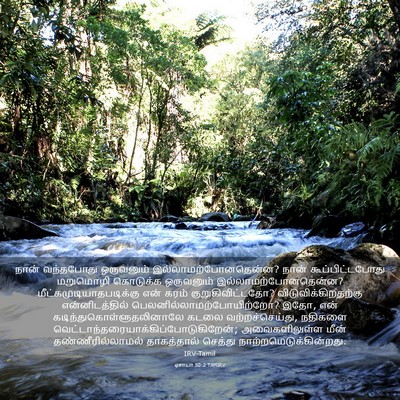 Picture 03 - ஏசாயா 50:2 TAMIRV - நான் வந்தபோது - Bible Verse Picture