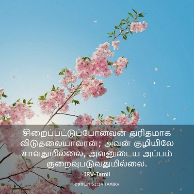Picture 03 - ஏசாயா 51:14 TAMIRV -  - Bible Verse Picture