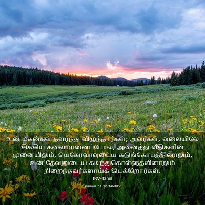Picture 03 - ஏசாயா 51:20 TAMIRV - உன் மகன்கள் - Bible Verse Picture