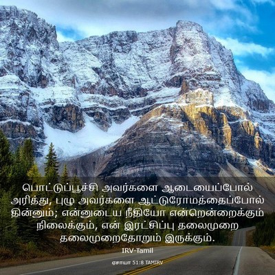 Picture 03 - ஏசாயா 51:8 TAMIRV - பொட்டுப்பூச்சி - Bible Verse Picture