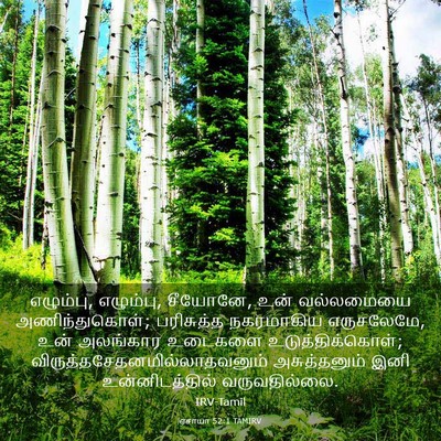 Picture 03 - ஏசாயா 52:1 TAMIRV - எழும்பு, எழும்பு, - Bible Verse Picture