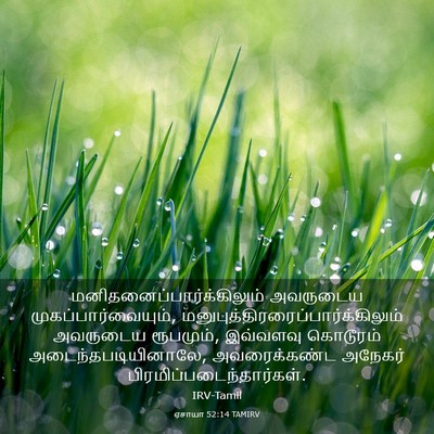 Picture 03 - ஏசாயா 52:14 TAMIRV -  - Bible Verse Picture