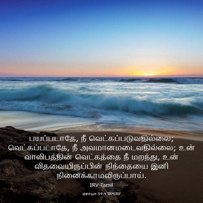Picture 03 - ஏசாயா 54:4 TAMIRV - பயப்படாதே, நீ - Bible Verse Picture