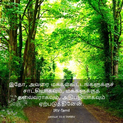 Picture 03 - ஏசாயா 55:4 TAMIRV - இதோ, அவரை - Bible Verse Picture