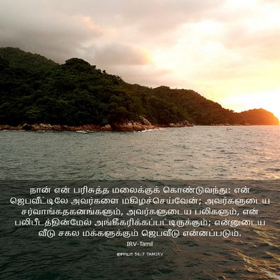 Picture 03 - ஏசாயா 56:7 TAMIRV - நான் என் பரிசுத்த - Bible Verse Picture
