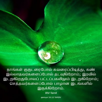 Picture 03 - ஏசாயா 59:10 TAMIRV - நாங்கள் - Bible Verse Picture