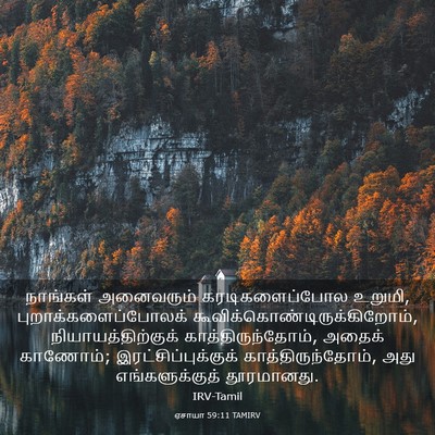 Picture 03 - ஏசாயா 59:11 TAMIRV - நாங்கள் அனைவரும் - Bible Verse Picture