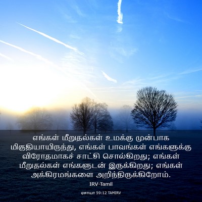 Picture 03 - ஏசாயா 59:12 TAMIRV - எங்கள் மீறுதல்கள் - Bible Verse Picture