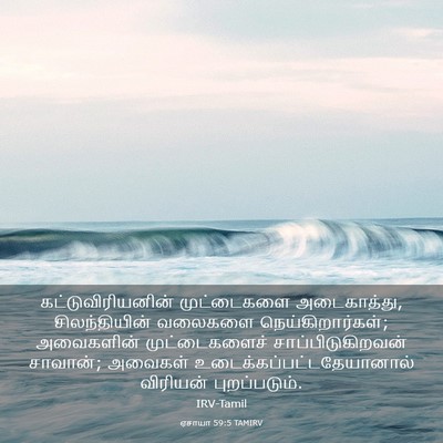 Picture 03 - ஏசாயா 59:5 TAMIRV - கட்டுவிரியனின் - Bible Verse Picture