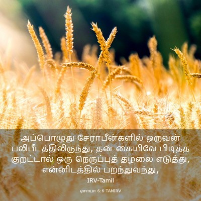 Picture 03 - ஏசாயா 6:6 TAMIRV - அப்பொழுது - Bible Verse Picture