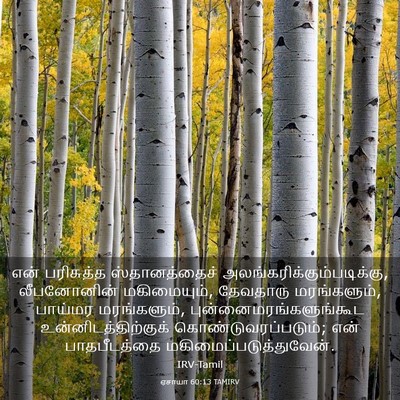 Picture 03 - ஏசாயா 60:13 TAMIRV - என் பரிசுத்த - Bible Verse Picture