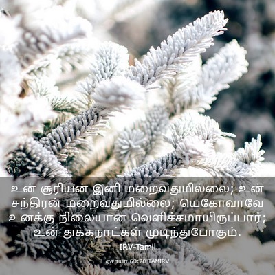 Picture 03 - ஏசாயா 60:20 TAMIRV - உன் சூரியன் இனி - Bible Verse Picture