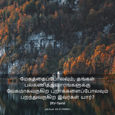 Picture 03 - ஏசாயா 60:8 TAMIRV - மேகத்தைப்போலவும், - Bible Verse Picture