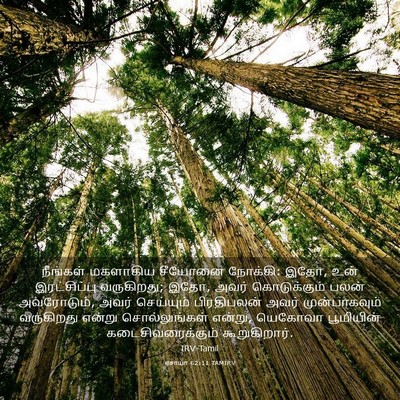 Picture 03 - ஏசாயா 62:11 TAMIRV - நீங்கள் மகளாகிய - Bible Verse Picture