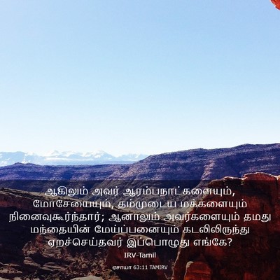 Picture 03 - ஏசாயா 63:11 TAMIRV - ஆகிலும் அவர் - Bible Verse Picture