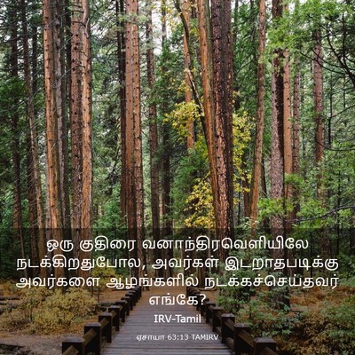 Picture 03 - ஏசாயா 63:13 TAMIRV - ஒரு குதிரை - Bible Verse Picture