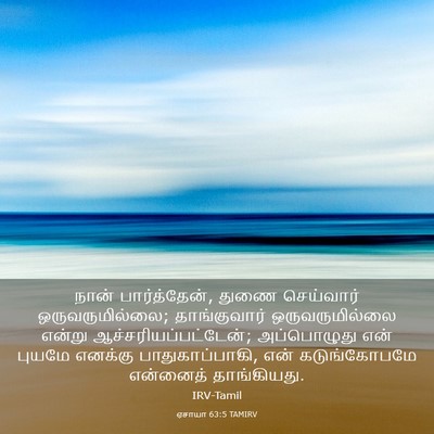 Picture 03 - ஏசாயா 63:5 TAMIRV - நான் பார்த்தேன், - Bible Verse Picture