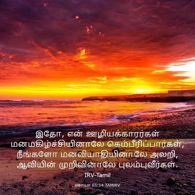 Picture 03 - ஏசாயா 65:14 TAMIRV - இதோ, என் - Bible Verse Picture