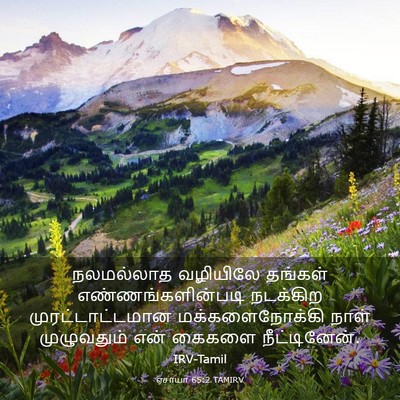 Picture 03 - ஏசாயா 65:2 TAMIRV - நலமல்லாத வழியிலே - Bible Verse Picture