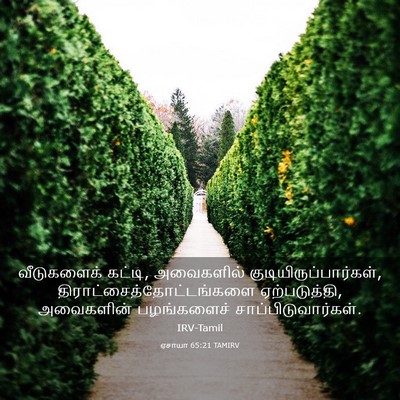 Picture 03 - ஏசாயா 65:21 TAMIRV - வீடுகளைக் கட்டி, - Bible Verse Picture