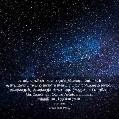 Picture 03 - ஏசாயா 65:23 TAMIRV - அவர்கள் வீணாக - Bible Verse Picture