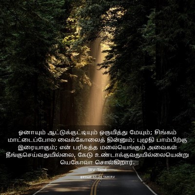 Picture 03 - ஏசாயா 65:25 TAMIRV - ஓனாயும் - Bible Verse Picture