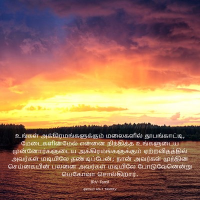 Picture 03 - ஏசாயா 65:7 TAMIRV - உங்கள் - Bible Verse Picture