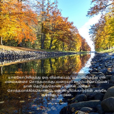 Picture 03 - ஏசாயா 65:9 TAMIRV - யாக்கோபிலிருந்து - Bible Verse Picture