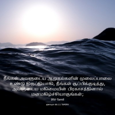 Picture 03 - ஏசாயா 66:11 TAMIRV - நீங்கள் அவளுடைய - Bible Verse Picture