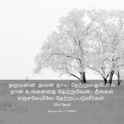 Picture 03 - ஏசாயா 66:13 TAMIRV - ஒருவனை அவன் தாய் - Bible Verse Picture