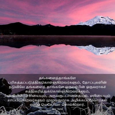 Picture 03 - ஏசாயா 66:17 TAMIRV - தங்களைத்தாங்களே - Bible Verse Picture
