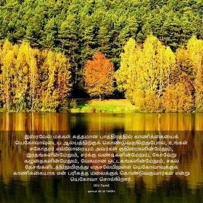 Picture 03 - ஏசாயா 66:20 TAMIRV - இஸ்ரவேல் மக்கள் - Bible Verse Picture