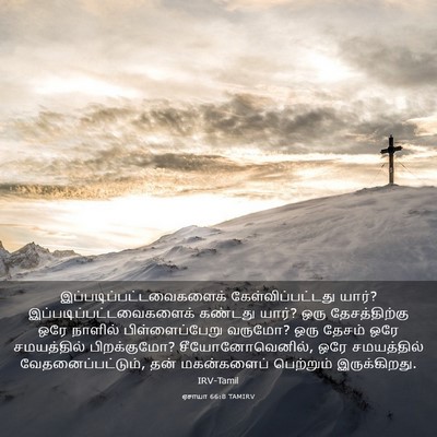 Picture 03 - ஏசாயா 66:8 TAMIRV -  - Bible Verse Picture
