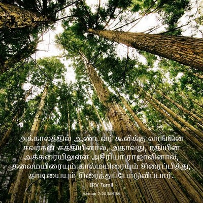 Picture 03 - ஏசாயா 7:20 TAMIRV - அக்காலத்தில் - Bible Verse Picture