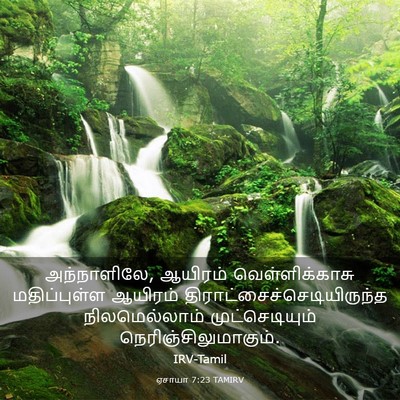 Picture 03 - ஏசாயா 7:23 TAMIRV - அந்நாளிலே, ஆயிரம் - Bible Verse Picture
