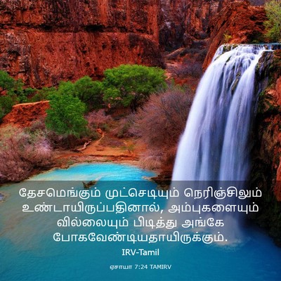 Picture 03 - ஏசாயா 7:24 TAMIRV - தேசமெங்கும் - Bible Verse Picture