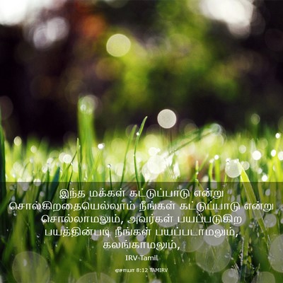 Picture 03 - ஏசாயா 8:12 TAMIRV - இந்த மக்கள் - Bible Verse Picture