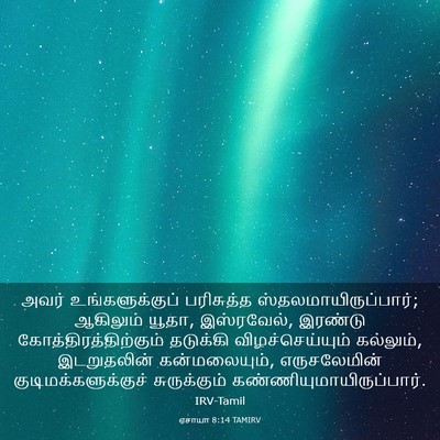 Picture 03 - ஏசாயா 8:14 TAMIRV - அவர் உங்களுக்குப் - Bible Verse Picture