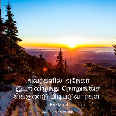 Picture 03 - ஏசாயா 8:15 TAMIRV - அவர்களில் அநேகர் - Bible Verse Picture