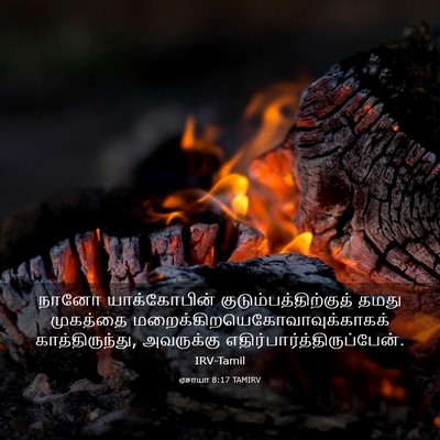 Picture 03 - ஏசாயா 8:17 TAMIRV - நானோ யாக்கோபின் - Bible Verse Picture
