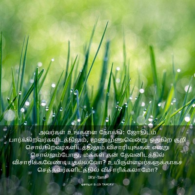 Picture 03 - ஏசாயா 8:19 TAMIRV - அவர்கள் உங்களை - Bible Verse Picture