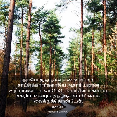 Picture 03 - ஏசாயா 8:2 TAMIRV - அப்பொழுது நான் - Bible Verse Picture