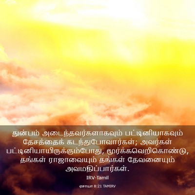 Picture 03 - ஏசாயா 8:21 TAMIRV - துன்பம் - Bible Verse Picture